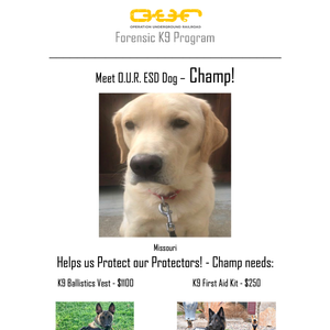 Protect Champ - Jefferson City, Missouri