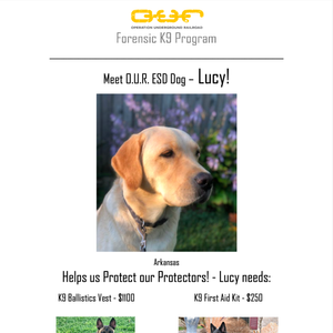Protect Lucy - Little Rock, Arkansas