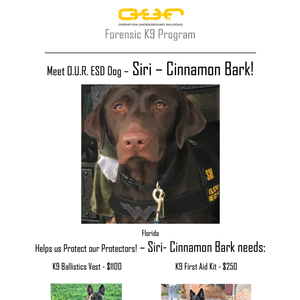 Protect Siri-Cinnamon Bark - Sanford, Florida