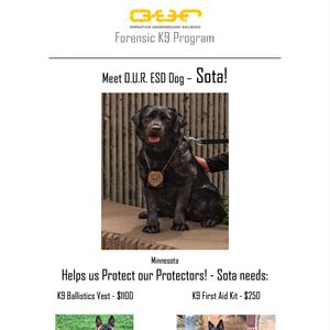 Protect Sota - St. Paul Minnesota