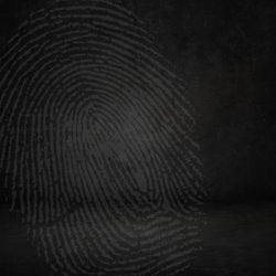 Personal Intercession Class Seed