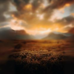 Prophetic Intercession Class Seed