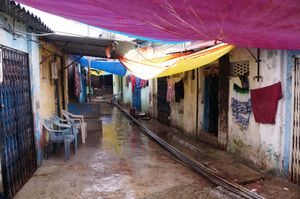 Rescue a Child Today!