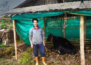 Cow Project