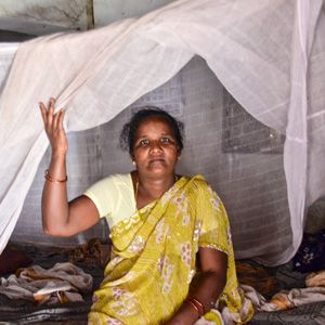 Mosquito Net