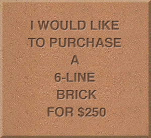 Brick Purchase (6 lines)