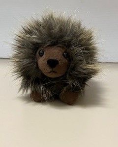 American Porcupine