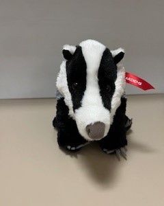 American Badger