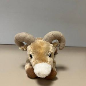 Bighorn Sheep