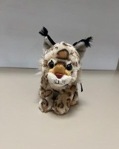 Bobcat