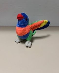 Budgie