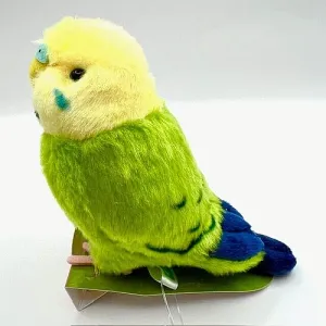 Budgie