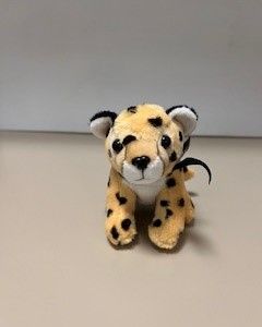 Cheetah