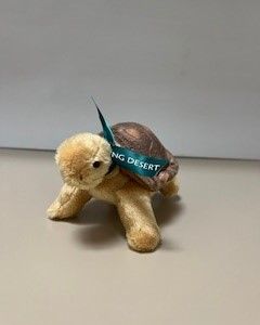 Desert Tortoise