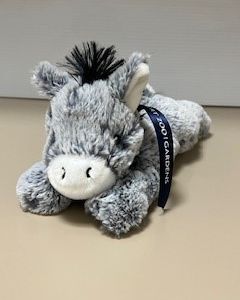 Donkey