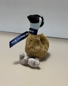 Emu