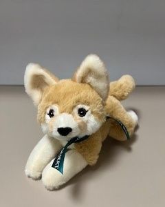 Fennec Fox