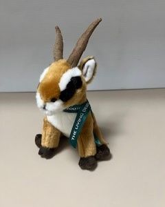Dama Gazelle - Addra Gazelle