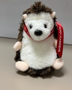 Hedgehog