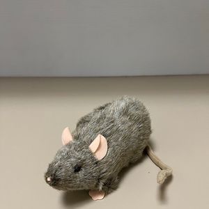Hero Rat