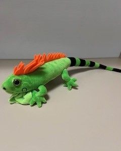 Iguana