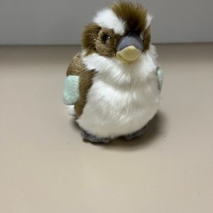 Kookaburra
