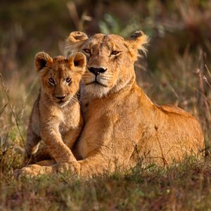 Women for the Wild