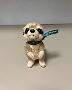 Meerkat