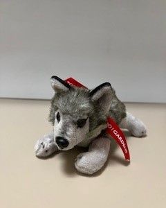 Mexican Gray Wolf