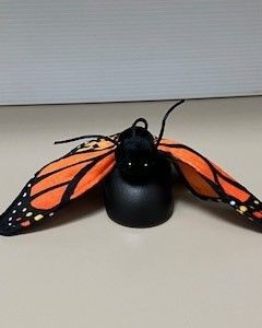 Monarch Butterfly
