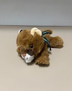 Mountain Lion