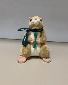 Prairie Dog