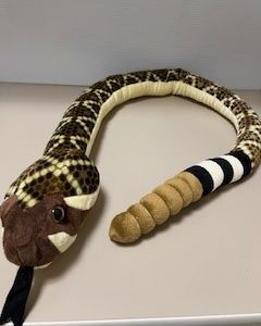 Rattlesnake