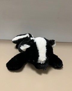 Striped Skunk