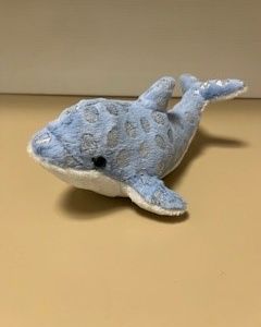 Vaquita