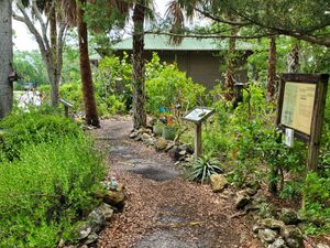 Walking Meditation - June 25, 2023 - 11 a.m. to 12 p.m.