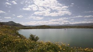 Albania - Special - Recurring