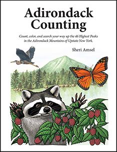 Adirondack Counting