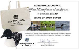 Adopt a Loon