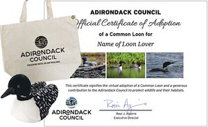Adopt a Loon