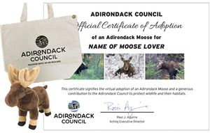 Adopt a Moose