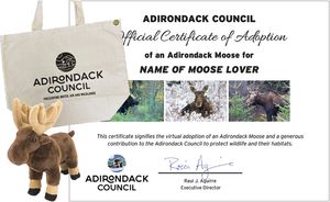 Adopt a Moose