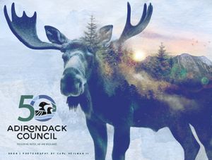 2025 Forever Wild Calendar