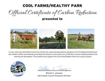 Carbon Reduction Certificate