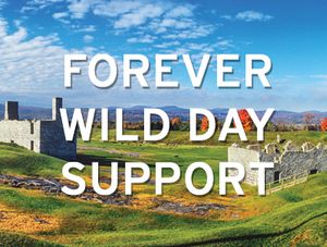 Forever Wild Day Support