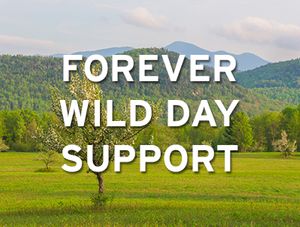 Forever Wild Day Support