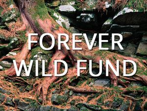 Forever Wild Fund