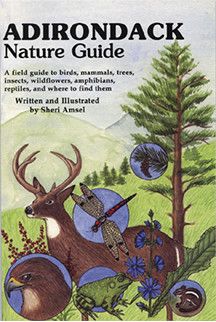 Adirondack Nature Guide