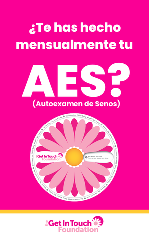 BSE App Card (Spanish)