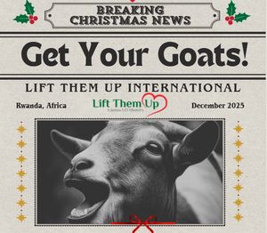 Christmas Goats for Kids in Rwanda!